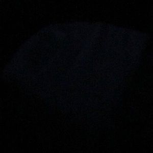 Meet your Posher, Dominique